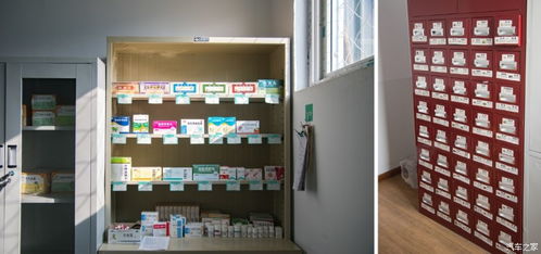 湖北监利千人同享2000斤龙虾宴 12种口味30位大厨耗时一天匠心烹制